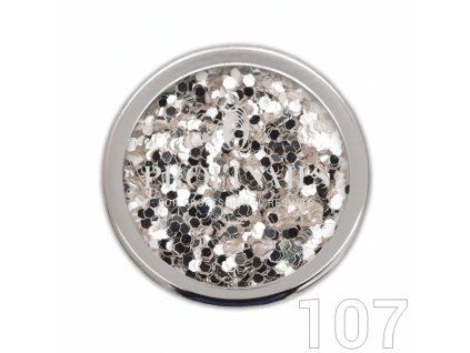 16106 Pure Silver Glitter No 107 B web 1809