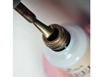 nailvana Steel champagne.jpg 1