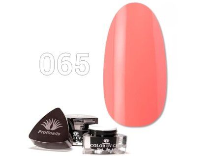 12455 065 Color UV Gel kep web 500x500 web 1606