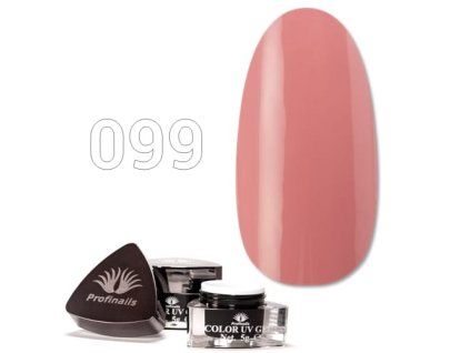 11205 099 Color UV Gel kep web 500x500 web 1706