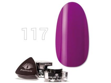 12435 117 Color UV Gel kep web 500x500 web 1710