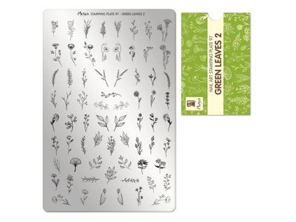 28018 M30100000097 Moyranyomdalemez097Greenleaves2