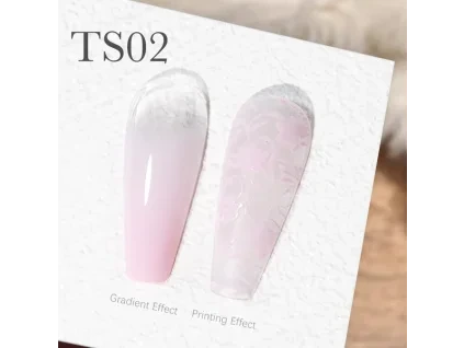 CANNI Painting & Stamping Gel 5g TS02