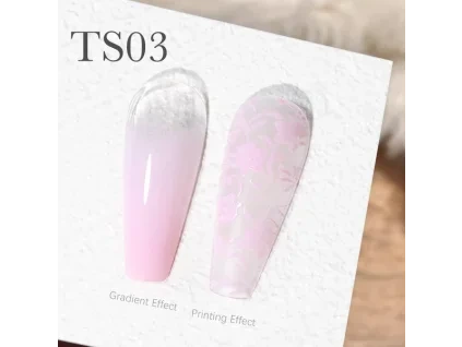 CANNI Painting & Stamping Gel 5g TS03