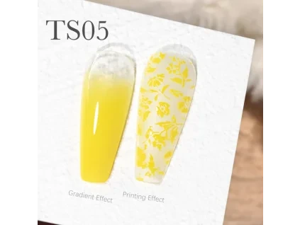 CANNI Painting & Stamping Gel 5g TS05