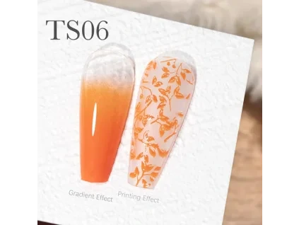 CANNI Painting & Stamping Gel 5g TS06
