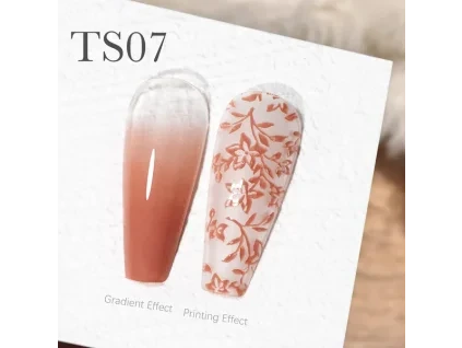 CANNI Painting & Stamping Gel 5g TS07 (1)
