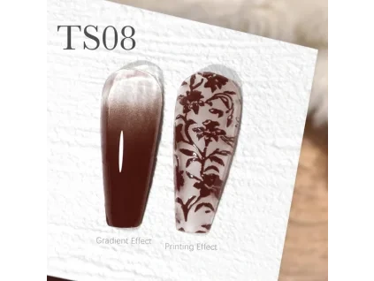 CANNI Painting & Stamping Gel 5g TS08
