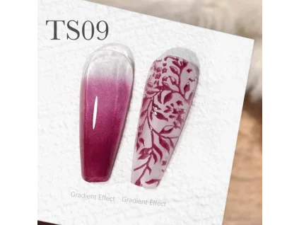 CANNI Painting & Stamping Gel 5g TS09