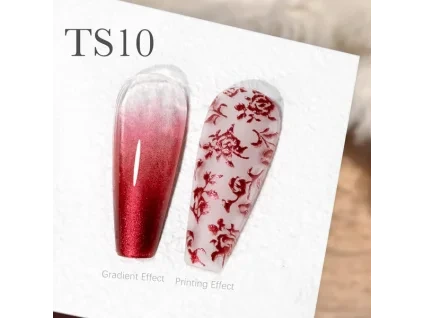 CANNI Painting & Stamping Gel 5g TS10