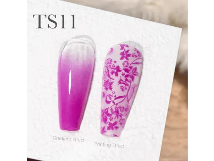 CANNI Painting & Stamping Gel 5g TS11 (1)