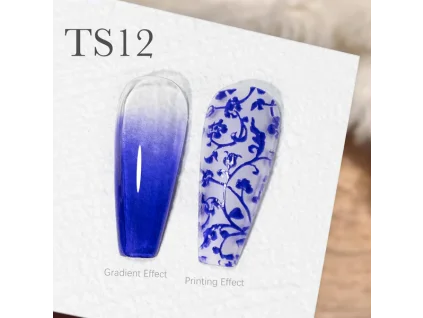 CANNI Painting & Stamping Gel 5g TS12