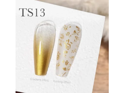 CANNI Painting & Stamping Gel 5g TS13