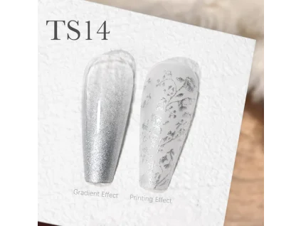 CANNI Painting & Stamping Gel 5g TS14 (1)