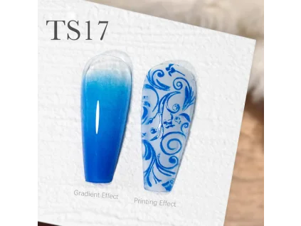 CANNI Painting & Stamping Gel 5g TS17 (1)