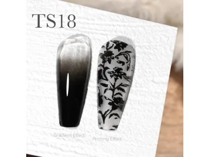 CANNI Painting & Stamping Gel 5g TS18 Black