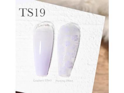 CANNI Painting & Stamping Gel 5g TS19