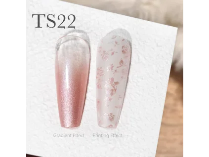 CANNI Painting & Stamping Gel 5g TS22