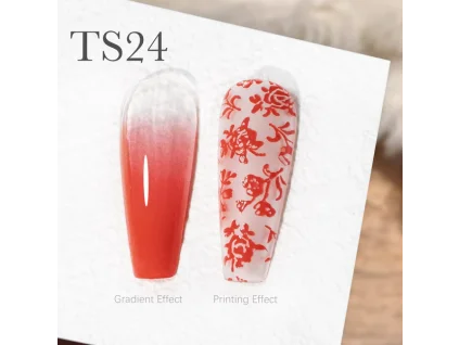 CANNI Painting & Stamping Gel 5g TS24