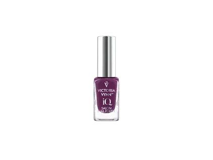 iq nail polish 006 smokiest plum.png