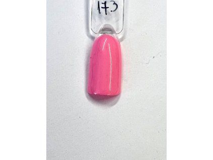 Luxury Nails - Lacgel - 173