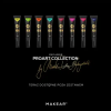 Makear - ProArt Gel - PA17 Amarant 10ml
