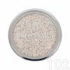 16100 Pure Silver Glitter No 102 B web 1809