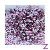 preciosa strasszko rose 1
