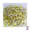preciosa citrine 2