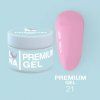 luna nails v3 premiumgel 21 1.png