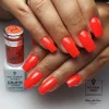 neon chic 204