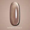 Dark gel polish cat eye 12
