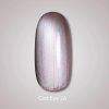 Dark Gel Polish Cat Eye 26 600x600