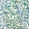 disco glitter mint breeze2.jpg