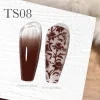CANNI Painting & Stamping Gel 5g TS08