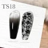 CANNI Painting & Stamping Gel 5g TS18 Black