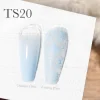 CANNI Painting & Stamping Gel 5g TS20
