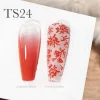CANNI Painting & Stamping Gel 5g TS24