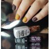 vynn pure 145 Gel Polish 100