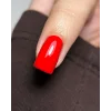3218d53e fb94 11f0 9d8f 0cc47a39a0b0 960x1200