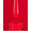 476ef8be 08ce 11f1 9d8f 0cc47a39a0b0 960x1200
