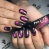gel polish 232 cat eyes mokait