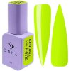 deliashop sk dnka color gel polish 0118
